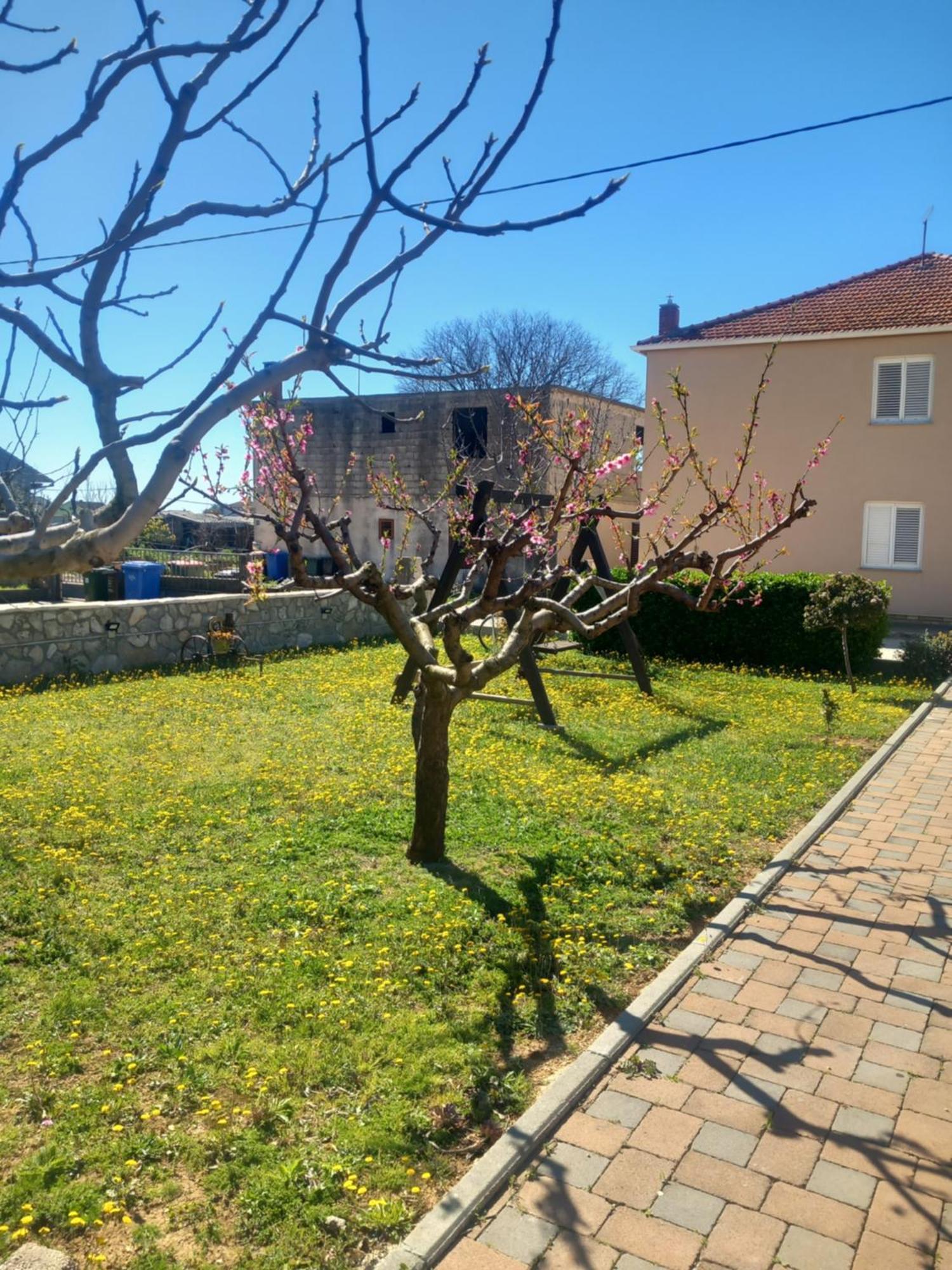Apartmani Goga Biograd Na Moru Exteriör bild